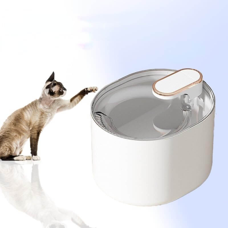 3L Pet Water Fountain